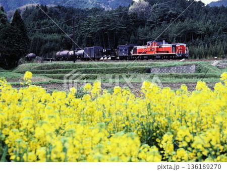 1983年　関西本線加太駅付近を走るDD51貨物列車 136189270