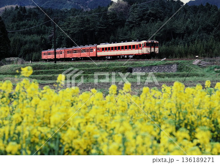 1983年 関西本線加太駅付近を走る気動車 1983年 関西本線加太駅付近を走る気動車 136189271