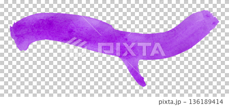 purple watercolor background. Artistic hand paint. Isolated on transparent background. purple watercolor background. Artistic hand paint. Isolated on transparent background. 136189414