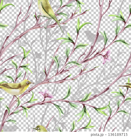 A seamless pattern with diagonal spring branches and birds. Watercolor illustration for packaging design, fabric printing, interior design, greeting cards, holiday decor, and souvenirs. 136189715