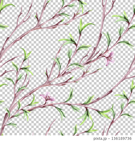 A seamless pattern with diagonal spring branches. Watercolor illustration for packaging design, fabric printing, interior design, greeting cards, holiday decor, and souvenirs. A seamless pattern with diagonal spring branches. Watercolor illustration for packaging design, fabric printing, interior design, greeting cards, holiday decor, and souvenirs. 136189736