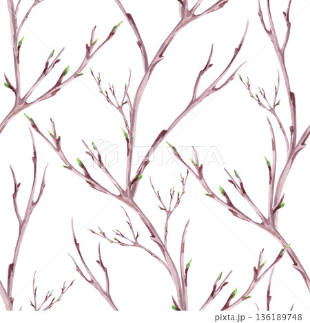 A seamless pattern with delicate branches. Watercolor illustration for packaging design, fabric printing, interior design, greeting cards, holiday decor, and souvenirs. 136189748