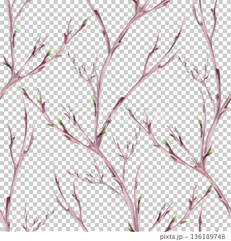 A seamless pattern with delicate branches. Watercolor illustration for packaging design, fabric printing, interior design, greeting cards, holiday decor, and souvenirs. 136189748