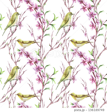 A seamless pattern with birds, branches, peach blossoms on a lilac background. Watercolor illustration for packaging design, fabric printing, interior design, greeting cards, holiday decor, souvenirs. 136189749