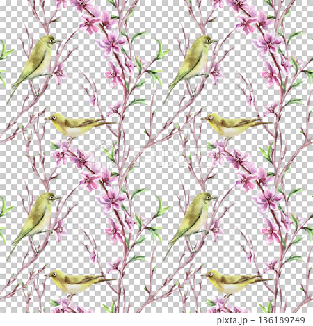 A seamless pattern with birds, branches, peach blossoms on a lilac background. Watercolor illustration for packaging design, fabric printing, interior design, greeting cards, holiday decor, souvenirs. 136189749