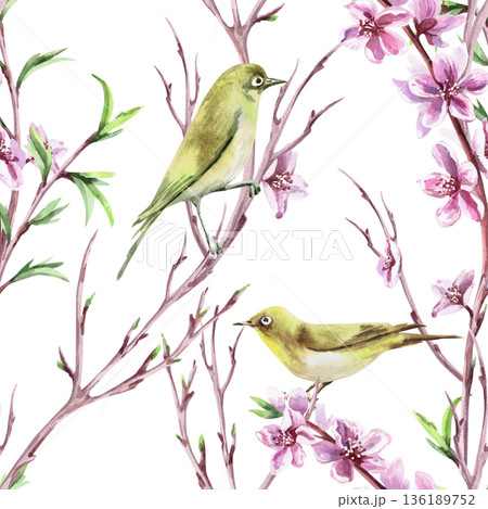 Seamless pattern with birds, branches, and peach blossoms. Watercolor illustration for packaging design, fabric printing, interior design, greeting cards, holiday decor, and souvenirs. 136189752