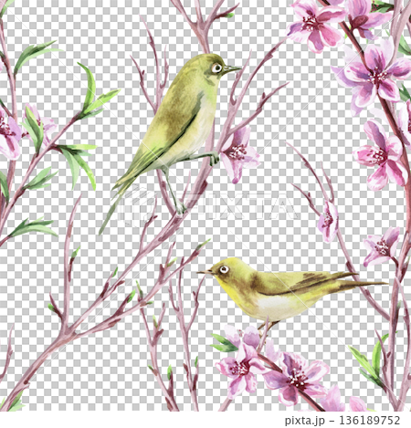 Seamless pattern with birds, branches, and peach blossoms. Watercolor illustration for packaging design, fabric printing, interior design, greeting cards, holiday decor, and souvenirs. 136189752
