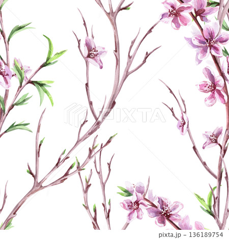 A seamless pattern with delicate peach branches and blossoms. Watercolor illustration for packaging design, fabric printing, interior design, greeting cards, holiday decor, and souvenirs. 136189754