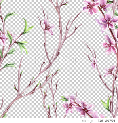 A seamless pattern with delicate peach branches and blossoms. Watercolor illustration for packaging design, fabric printing, interior design, greeting cards, holiday decor, and souvenirs. 136189754