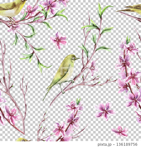 A seamless pattern with peach branches and birds on a lilac background. Watercolor illustration for packaging design, fabric printing, interior design, greeting cards, holiday decor, and souvenirs. 136189756