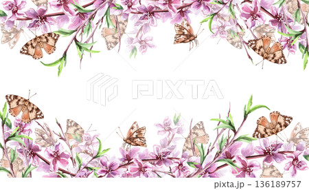 A rectangular frame with blooming peach branches and butterflies. An isolated watercolor illustration with a spring theme for greeting cards, product packaging, and interior design. A rectangular frame with blooming peach branches and butterflies. An isolated watercolor illustration with a spring theme for greeting cards, product packaging, and interior design. 136189757