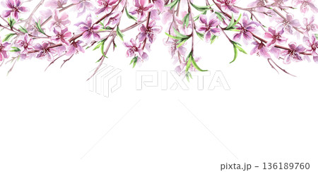 A rectangular frame with blossoming peach branches at the top. An isolated watercolor illustration with a spring theme for tableware, cards, product packaging, and interior design. A rectangular frame with blossoming peach branches at the top. An isolated watercolor illustration with a spring theme for tableware, cards, product packaging, and interior design. 136189760