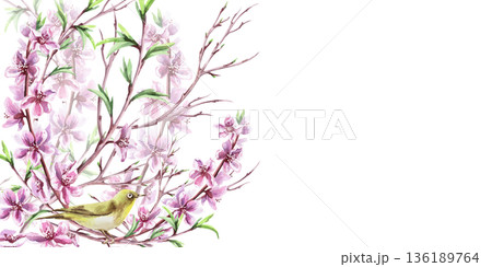 A rectangular frame with blooming peach branches and a bird. An isolated watercolor illustration with a spring theme for tableware, cards, product packaging, and interior design. 136189764