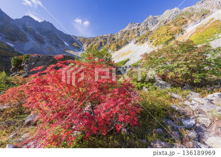 紅葉の涸沢から望む秋のナナカマド 紅葉の涸沢から望む秋のナナカマド 136189969