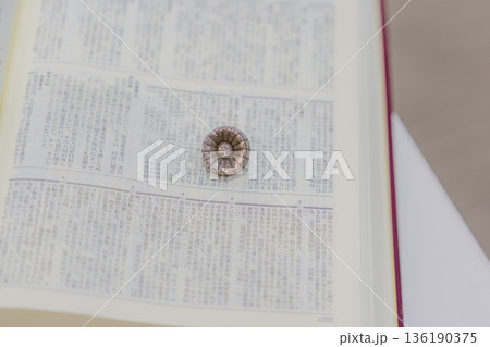 弁護士記章 136190375