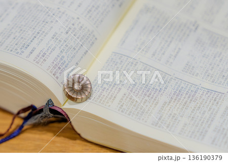 弁護士記章 136190379
