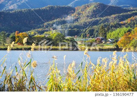 秋の京都嵯峨野　紅葉に染まった広沢池 136190477
