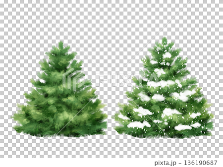 Hand drawn illustration of a set featuring two green fir trees with one covered in white snow isolated on a white background. Festive evergreen spruces for Christmas greeting cards, winter holiday 136190687