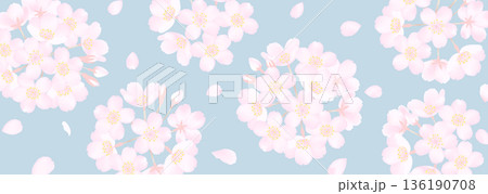 スモーキーなブルーに繊細な桜の花のベクターイラスト 136190708