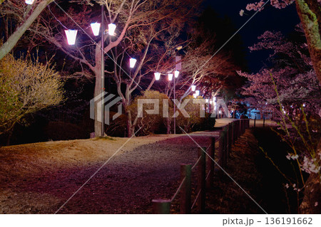 西山公園(西山荘近辺) 西山公園(西山荘近辺) 136191662