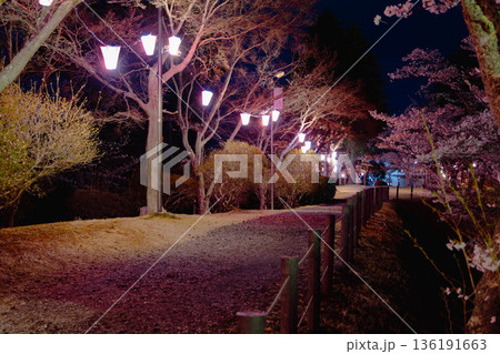 西山公園(西山荘近辺) 西山公園(西山荘近辺) 136191663