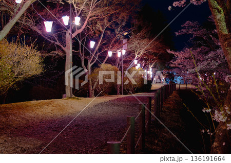 西山公園(西山荘近辺) 西山公園(西山荘近辺) 136191664