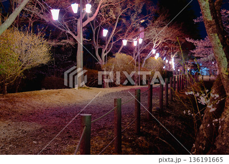 西山公園（西山荘近辺） 136191665