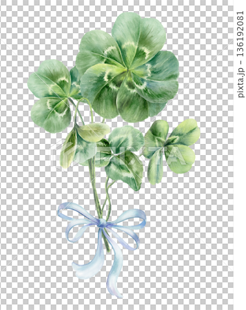 Bouquet of clover leaves with stems,tied with blue delicate double silk bow.Soft watercolor with gentle details,botanical element for wedding stationery,invitations, and place cards 136192081