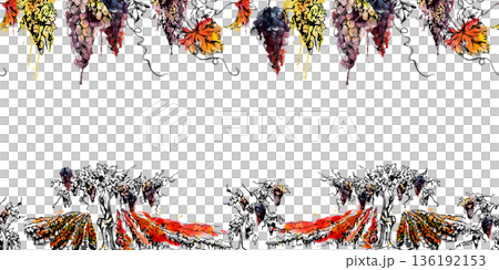 Botanical seamless strip of leafy grapevines, vine rows on hills, hanging clusters and leaves. Isolated illustration hand drawn in watercolor and ink. Artisan winery product packaging, travel borders Botanical seamless strip of leafy grapevines, vine rows on hills, hanging clusters and leaves. Isolated illustration hand drawn in watercolor and ink. Artisan winery product packaging, travel borders 136192153