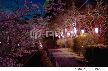 西山公園(西山荘近辺) 西山公園(西山荘近辺) 136192165
