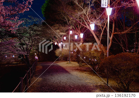 西山公園（西山荘近辺） 136192170
