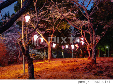 西山公園(西山荘近辺) 西山公園(西山荘近辺) 136192171