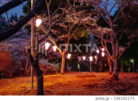 西山公園(西山荘近辺) 西山公園(西山荘近辺) 136192173