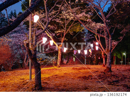 西山公園(西山荘近辺) 西山公園(西山荘近辺) 136192174