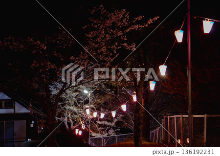 西山公園(西山荘近辺) 西山公園(西山荘近辺) 136192231