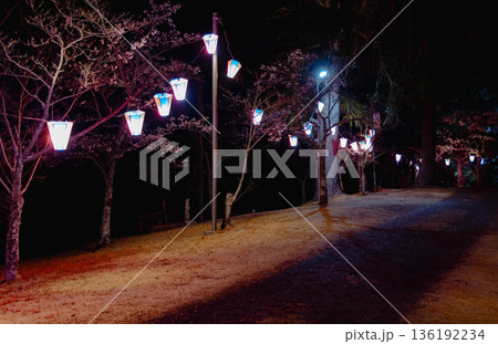 西山公園(西山荘近辺) 西山公園(西山荘近辺) 136192234