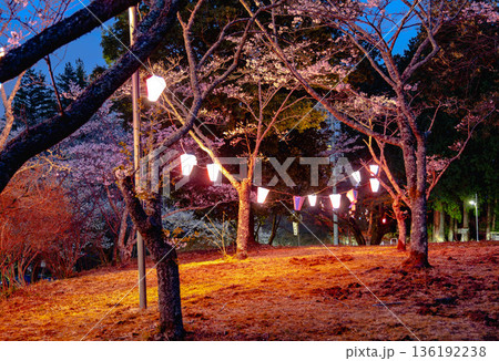 西山公園(西山荘近辺) 西山公園(西山荘近辺) 136192238