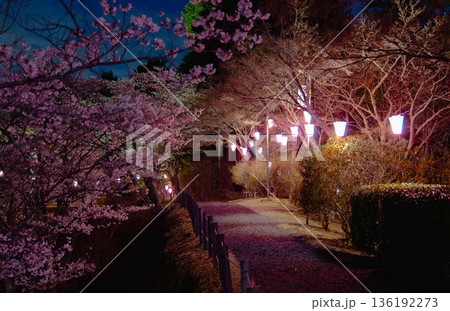 西山公園(西山荘近辺) 西山公園(西山荘近辺) 136192273
