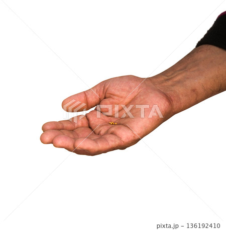 Small mustard seeds in the hand Small mustard seeds in the hand 136192410