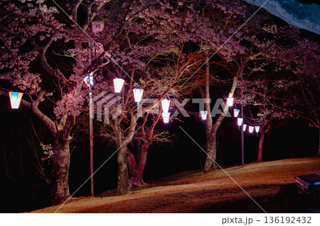 西山公園（西山荘近辺） 136192432