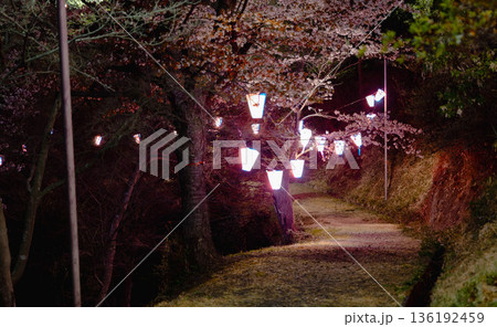 西山公園（西山荘近辺） 136192459