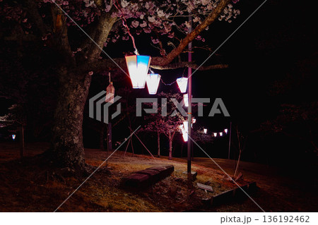 西山公園（西山荘近辺） 136192462