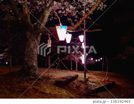 西山公園（西山荘近辺） 136192465
