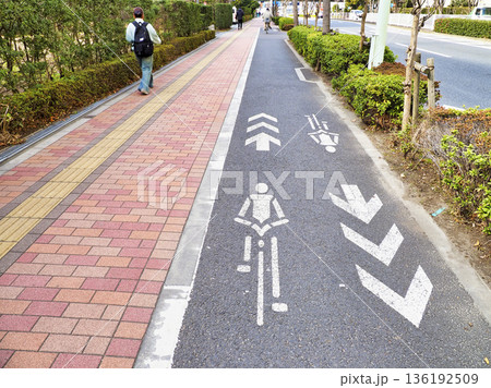 自転車と歩行者のレーン分けをしている歩道 自転車と歩行者のレーン分けをしている歩道 136192509