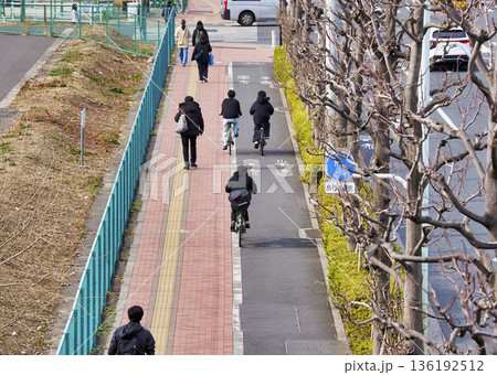 自転車と歩行者のレーン分けをしている歩道 自転車と歩行者のレーン分けをしている歩道 136192512