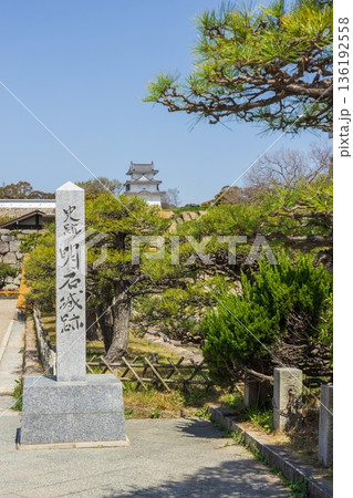 春の明石公園・明石城跡　兵庫県明石市にて 136192558