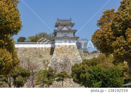 春の明石公園・明石城跡 兵庫県明石市にて 春の明石公園・明石城跡 兵庫県明石市にて 136192559