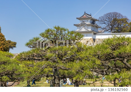 春の明石公園・明石城跡 兵庫県明石市にて 春の明石公園・明石城跡 兵庫県明石市にて 136192560