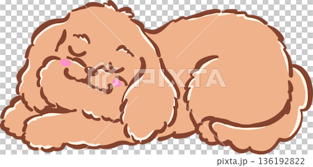 Adorable Sleeping Cavoodle Dog Peacefully Hand Drawn Cartoon Whimsical Adorable Sleeping Cavoodle Dog Peacefully Hand Drawn Cartoon Whimsical 136192822