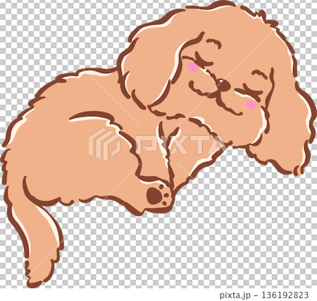 Adorable Sleeping Cavoodle Dog Curl up Hand Drawn Cartoon Whimsical 136192823